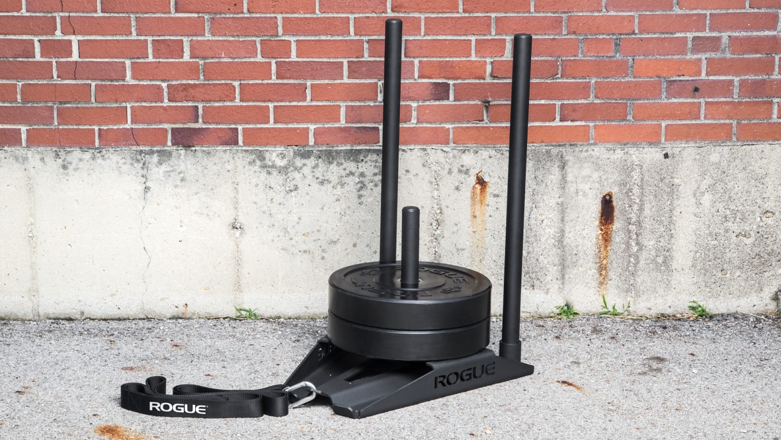 Rogue prowler sled weight sale